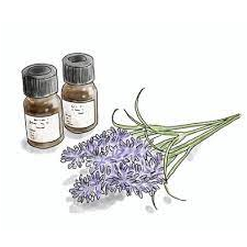 ■『美容』おすすめ商品・サービスを厳選紹介!店舗&お得情報まとめ